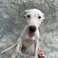 Photo of Lumi