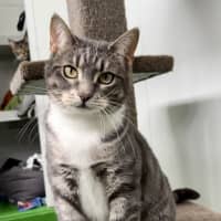 Photo of Daisy