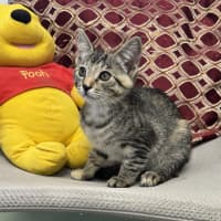 Photo of Winnie 