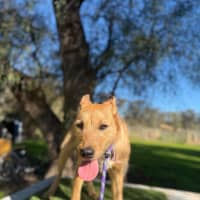 Photo of Lexi 