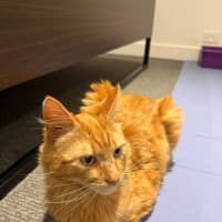 Photo of Kevin
