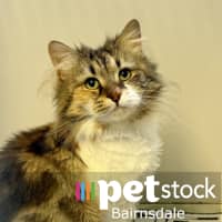 Photo of Freya