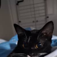 Photo of Audrey