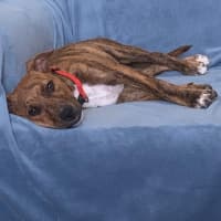 Photo of Candy