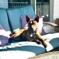 Photo of Cocobella