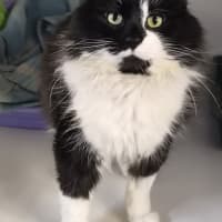 Photo of Bruce