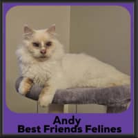 Photo of Andy