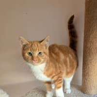 Photo of Bibby