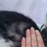 Photo of Archie & Lisa