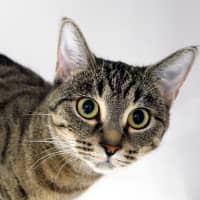 Photo of Mia Sua013891