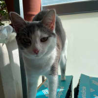 Photo of Shine