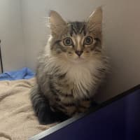 Photo of Taco