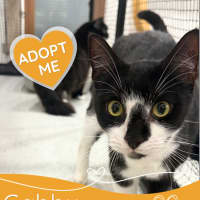 Photo of Gabby