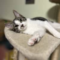 Photo of Jerry Freckle