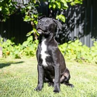 Photo of Lumen