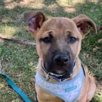 Photo of Bindi Irwin