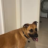 Photo of Lila