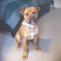 Photo of Skye Peggotty