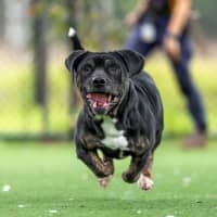 Photo of Fred Imp 2407