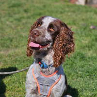 Photo of Max