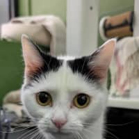 Photo of Storm
