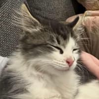 Photo of Bruce And Macey