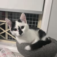 Photo of Skittles 🌈