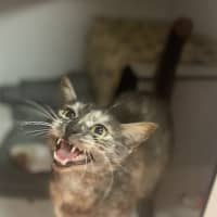 Photo of Astrid
