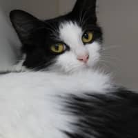 Photo of Sylvia