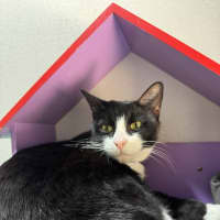 Photo of Pretty Girl