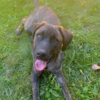 Photo of Whisky 🥃