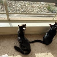 Photo of Eve & Coalette