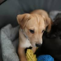 Photo of Candy