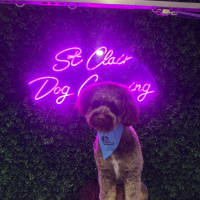 Photo of Jerry
