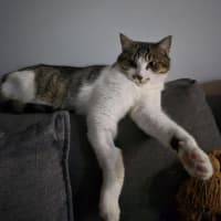 Photo of Rigan