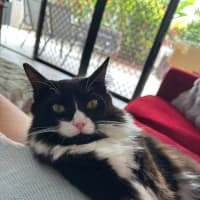 Photo of Willow And Jasper