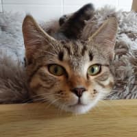 Photo of Roo