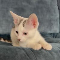 Photo of Milk Bottle