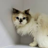 Photo of Marjorie