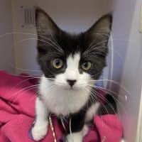 Photo of Moo