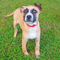 Photo of Fonzie