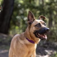 Photo of Lilly