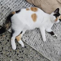 Photo of Mitzi