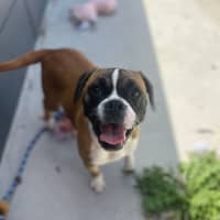 Photo of Thelma