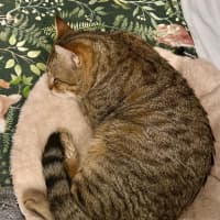 Photo of Steve