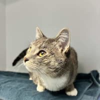 Photo of Sadie