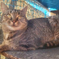 Photo of Gaia