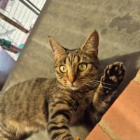 Photo of Jolene!👢