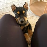 Photo of Maverick