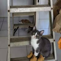 Photo of Tiny